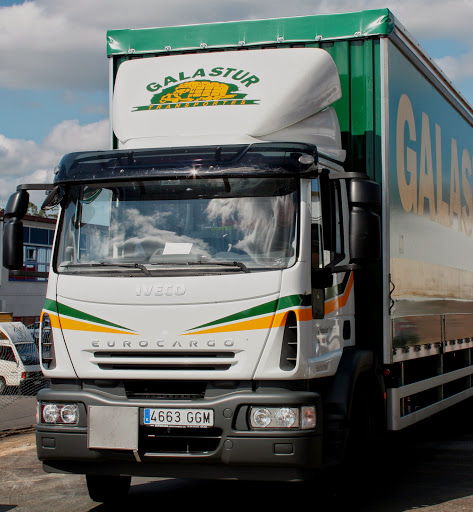 Galastur Logistica Y Ttes., S.l.