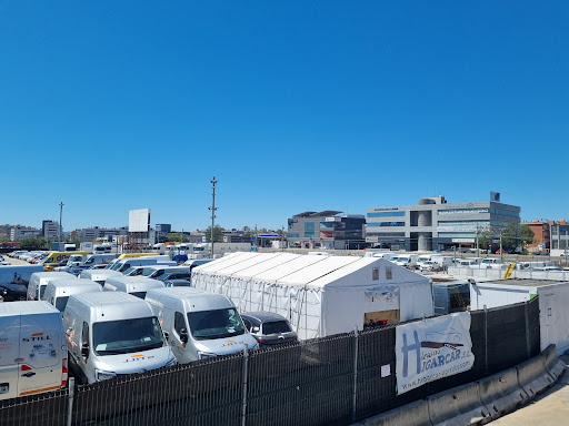 Higar Car Logistics. Campa, Gruas /vehiculos.