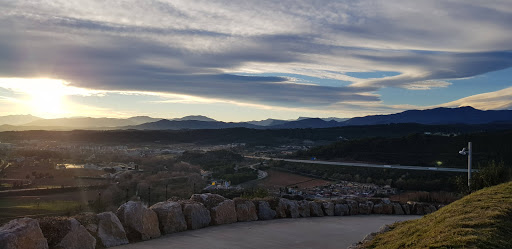 Logística New Market