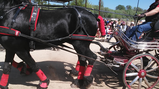 Roldán S L Serv Transportes Especiales